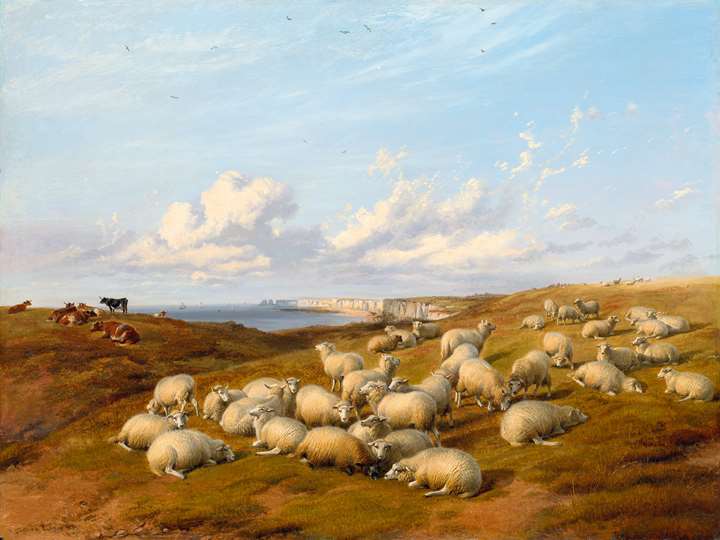 Sheep and Cattle on the Coast, near Beachy Head